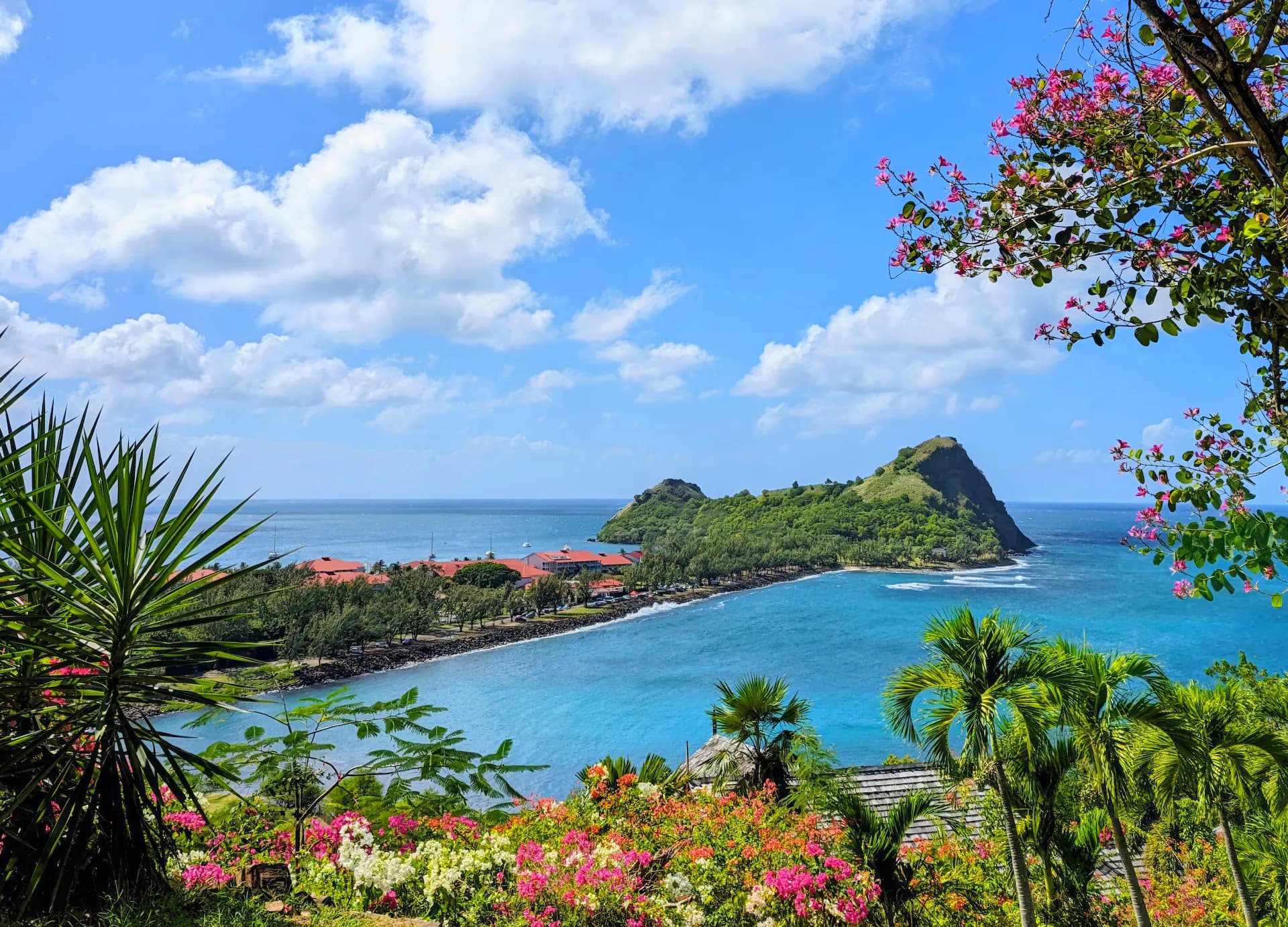 Caribbean
