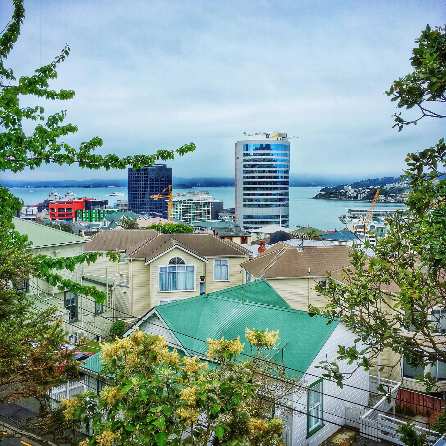 St. Kitts & Nevis Citizenship Through Investment